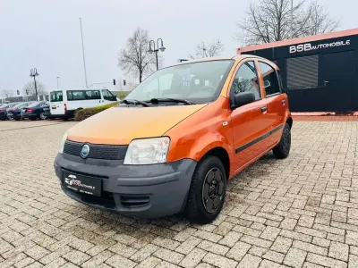 Gebraucht Fiat Panda Active 54 PS (39 kW) 2007 Orange Kleinwagen