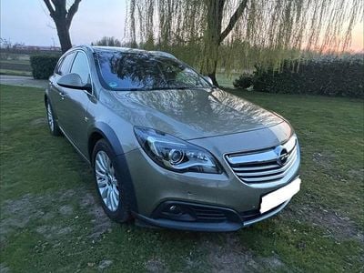 Gebraucht Opel Insignia Country Tourer 194 PS (142 kW) 2013 Grün Kombi