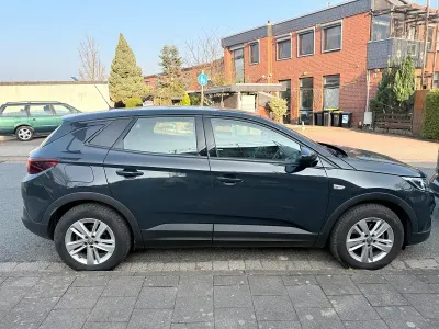 Gebraucht Opel Grandland X 131 PS (96 kW) 2019 Grau SUV