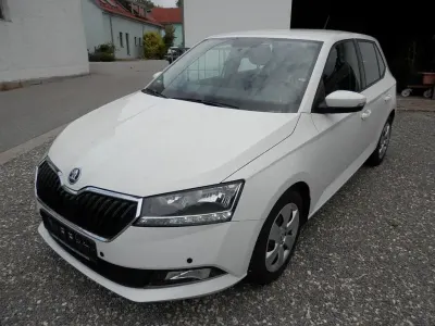 Gebraucht Skoda Fabia Ambition 95 PS (69 kW) 2021 Weiß Kleinwagen