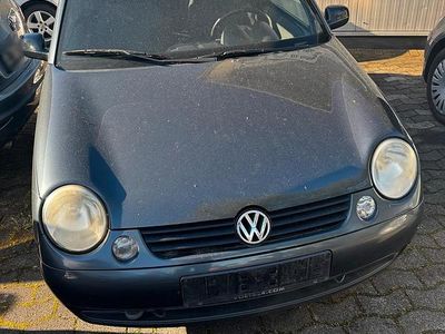 Brugt VW Lupo 50 HK (36 kW) 2003 Grå Hatchback
