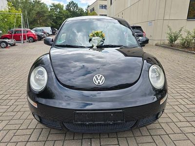 VW Beetle