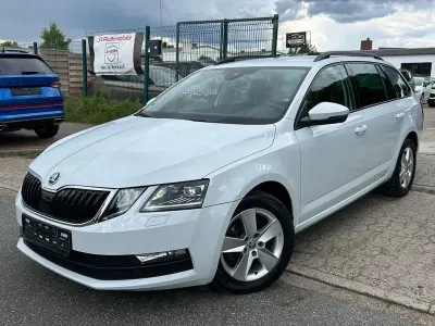 Gebraucht Skoda Octavia Tour 150 PS (110 kW) 2020 Weiß Kombi