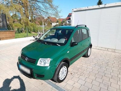 Usata Fiat Panda 4x4 Climbing 60 CV (44 kW) 2005 Verde Utilitaria
