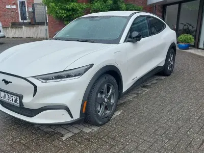 Brugt Ford Mustang Basis 269 HK (197 kW) 2023 Hvid Sedan