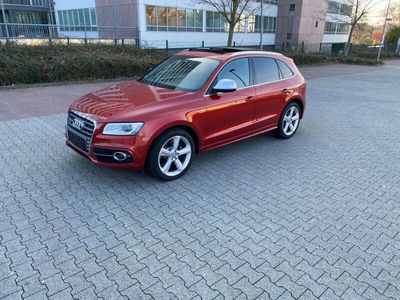 gebraucht Audi SQ5 3.0 TDI /Panorama/Kamera/LED/AHK