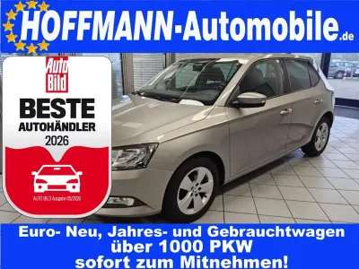 Usata Skoda Fabia Ambition 90 CV (66 kW) 2016 Beige Utilitaria