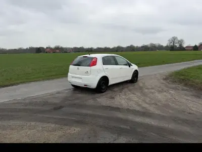 Usata Fiat Punto 70 CV (51 kW) 2008 Bianco Utilitaria