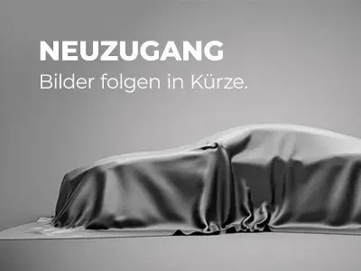 Gebraucht VW T-Roc Life 150 PS (110 kW) 2023 Grau SUV