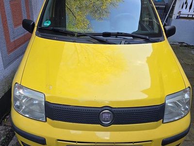 Usata Fiat Panda 54 CV (39 kW) 2008 Giallo Utilitaria