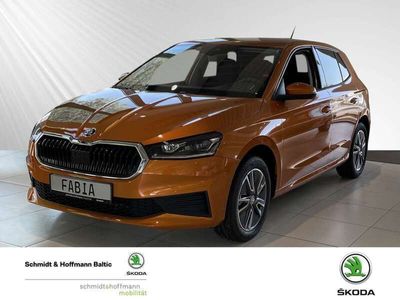 gebraucht Skoda Fabia Tour 1.0 TSI Klima Einparkhilfe Sitzheizung