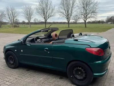 Second-hand Peugeot 206 109 CP (80 kW) 2004 Verde Cabrio