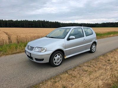 VW Polo