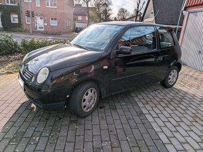 gebraucht VW Lupo - Schwarz - 2002 - 158.000km