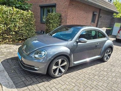 VW Beetle