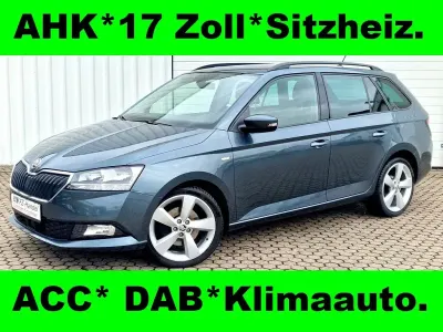 Gebraucht Skoda Fabia 110 PS (80 kW) 2019 Grau metallic Kleinwagen
