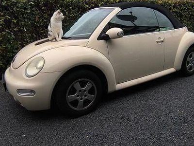 VW Beetle