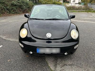 VW Beetle