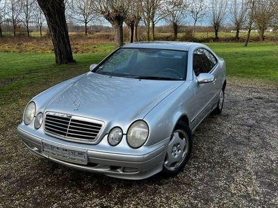 gebraucht Mercedes CLK200 