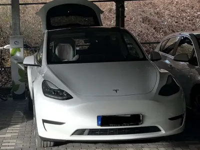 Gebraucht Tesla Model Y RWD 255 kW (347 PS) 2024 SUV