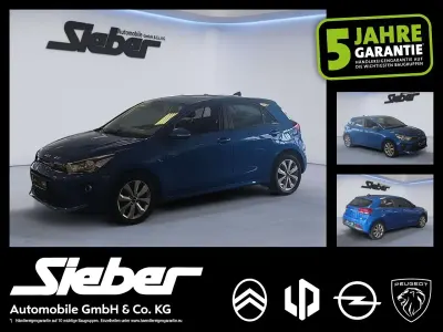 Brugt Kia Rio