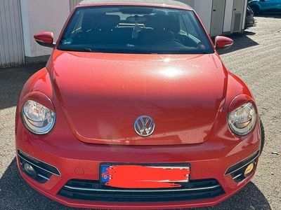 VW Beetle