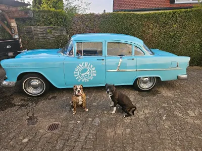 Gebraucht Chevrolet Bel Air 168 PS (123 kW) 1955 Blau Limousine