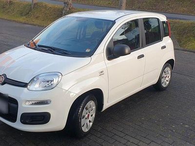 Gebraucht Fiat Panda Mystyle 69 PS (50 kW) 2016 Weiß Kleinwagen