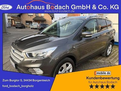 Grau Gebraucht 2019 Ford Kuga Trend SUV | 13.490 € (Guter Preis)