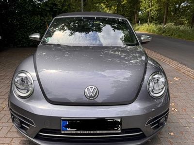 VW Beetle