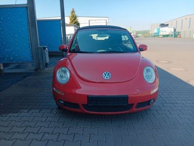 VW Beetle