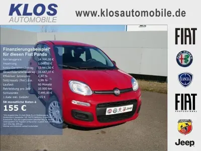 Neu Fiat Panda 69 PS (50 kW) 2025 Rot Kleinwagen