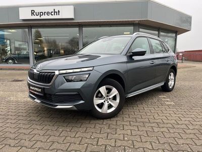 Gebraucht Skoda Kamiq Style 116 PS (85 kW) 2021 Grau SUV