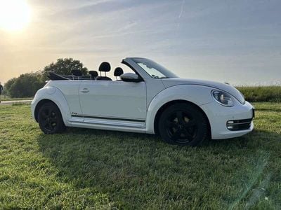 VW Beetle