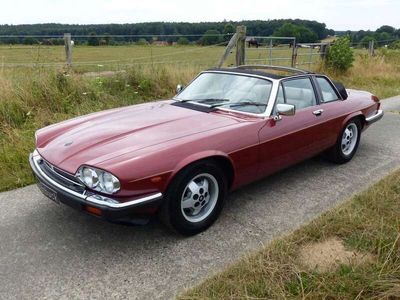 gebraucht Jaguar XJS (Arden) Targa - äußerst selten!