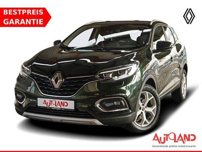 Grün Gebraucht 2019 Renault Kadjar LIMITED SUV | 18.490 € (Teuer)