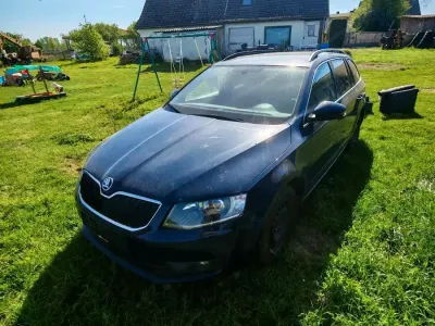 Gebraucht Skoda Octavia 110 PS (80 kW) 2016 Blau Kombi