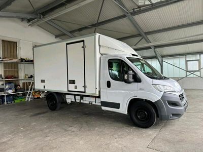 gebraucht Fiat Ducato Maxi Kühlwagen