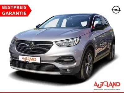 Gebraucht Opel Grandland X Business Edition 131 PS (96 kW) 2020 Grau SUV