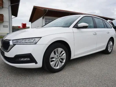Gebraucht Skoda Octavia Ambition 150 PS (110 kW) 2023 Bila candy/candyweiss Kombi