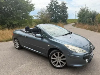 Gebraucht Peugeot 307 CC 140 PS (102 kW) 2005 Andere farben Cabrio