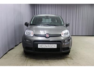 gebraucht Fiat Panda 1,0 Hybrid, Tech-Paket - Radio mit 7'-Bildschir...