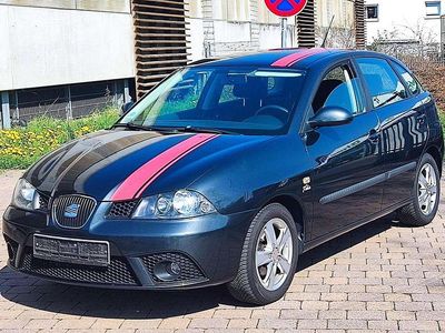 Gebraucht Seat Ibiza 86 PS (63 kW) 2009 Track grey Kleinwagen