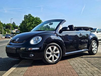 VW Beetle