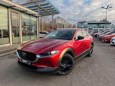 Neu Mazda CX-30 Homura-Line 140 PS (102 kW) 2026 SUV