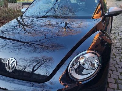 VW Beetle