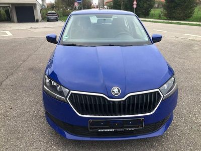 Second-hand Skoda Fabia Active 60 CP (44 kW) 2019 Albastru Berlinǎ