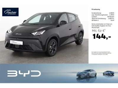 Nouvelle BYD Dolphin Surf Boost 64 kW (88 ch) 2026 Noir Citadine