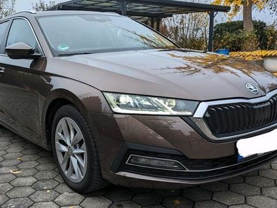 gebraucht Skoda Octavia Combi Style