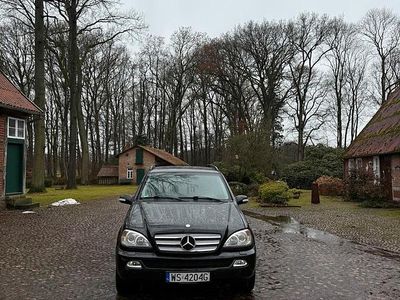 Gebraucht Mercedes ML270 2003 SUV